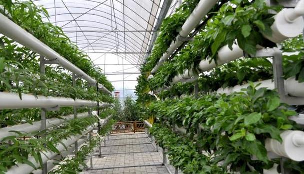 �o�����༼�g(sh��)�ھ��n��