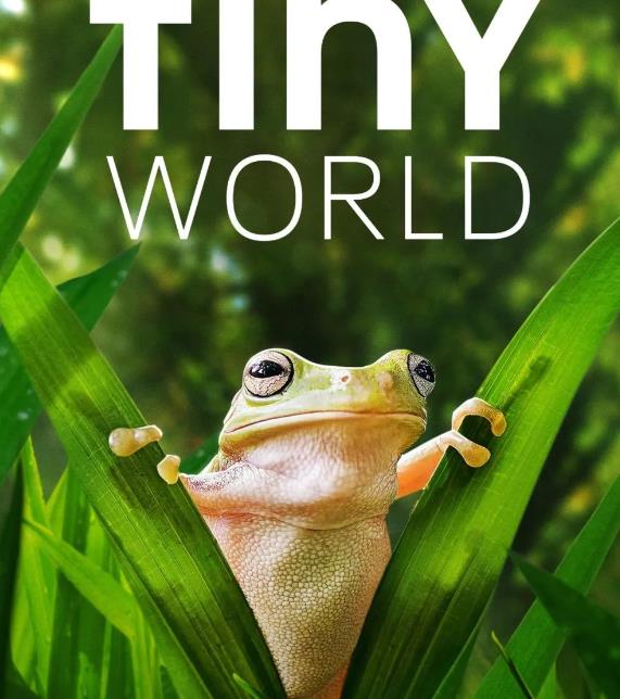��Tiny World��СС����1-2����Ӣ�İ�-�ǳ���